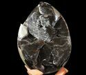 Bargain, Septarian Dragon Egg Geode - Crystal Filled #73782-2